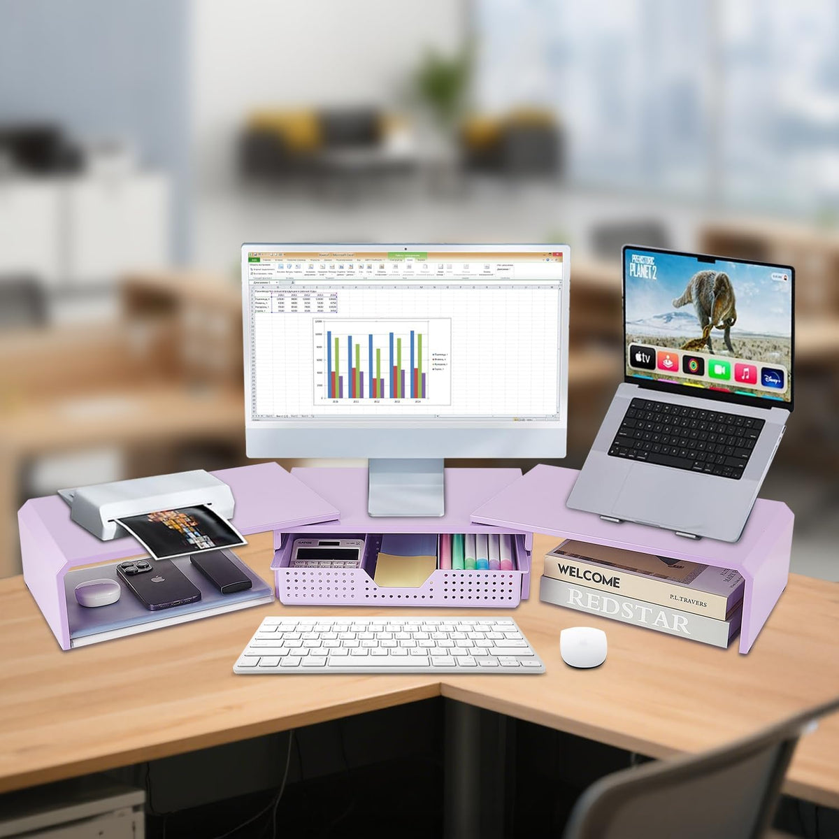 Dual Monitor Stand Riser with Storage Drawer